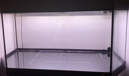 aquarium 200L