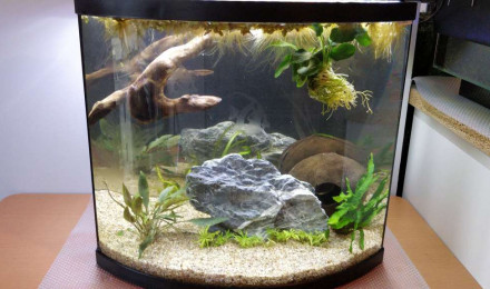 aquarium Bac 30L