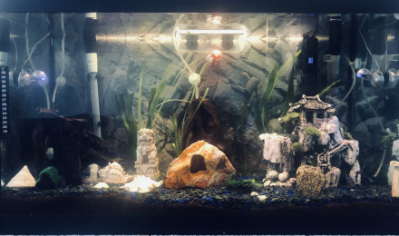 aquarium Mon Aqua 120l