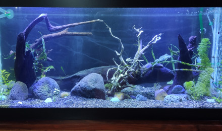 aquarium Terrasse 250