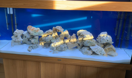 aquarium Kyam