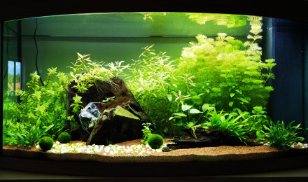 aquarium JUWEL 260 VISION