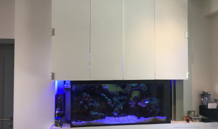 aquarium Aquarium