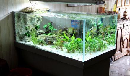 aquarium 450 litres
