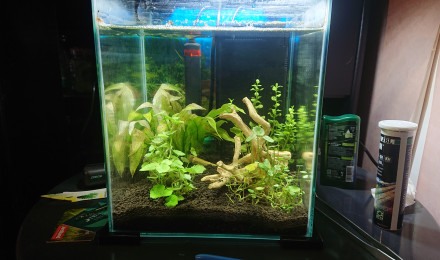 aquarium SARAWAK CITY AQUA 25