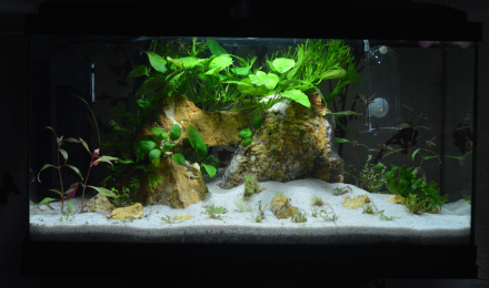 aquarium Rili Gump