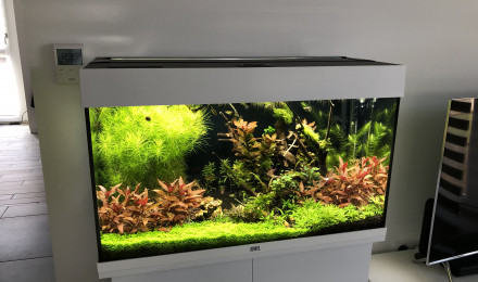 aquarium 125L