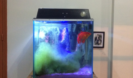 aquarium corsair