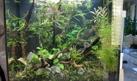 aquarium lido maison