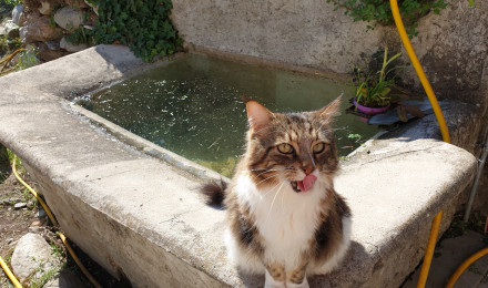 aquarium Ancien lavoir