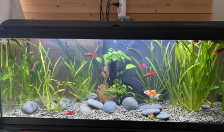 aquarium aquatlantis 150