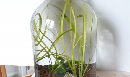 aquarium AquaBottle