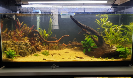 aquarium 130L