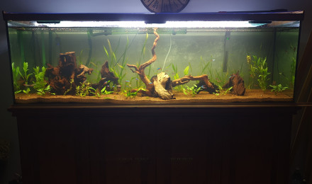 aquarium Aqua 600l