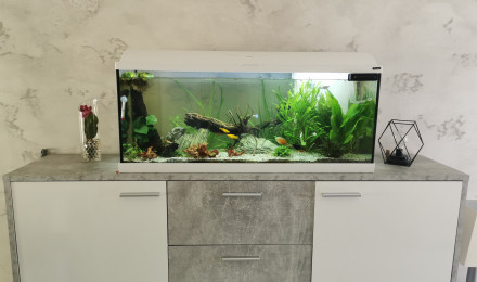 aquarium 120L
