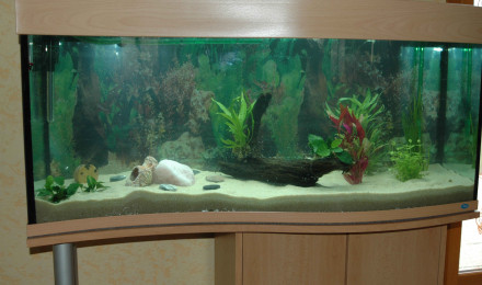aquarium aquarium vague
