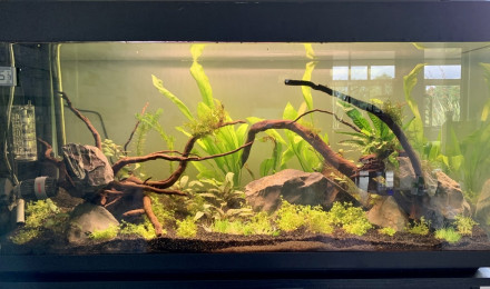 aquarium Big