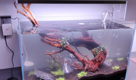 aquarium 60L - Premier aquarium