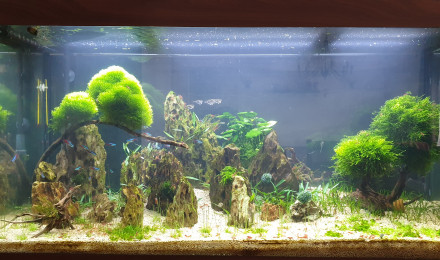 aquarium Juwel 350