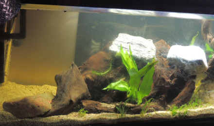 aquarium libertad