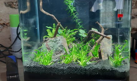 aquarium Nano 20 LITRES