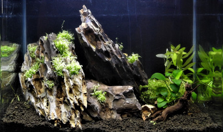 aquarium DEEP TIK D