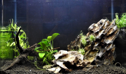 aquarium DEEP TIK G