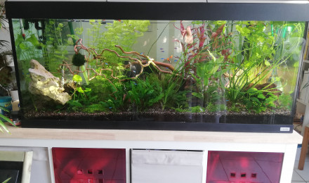 aquarium La vallée colorée