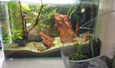 aquarium Nano 20L