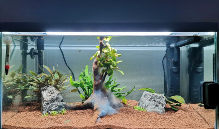 aquarium Aquarium Inwa confort 60