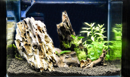 aquarium DEEP TIK D