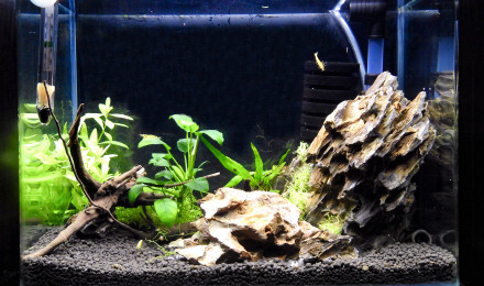 aquarium DEEP TIK G