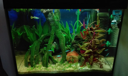 aquarium Mon LIDO 120