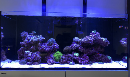 aquarium Recifal 350
