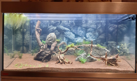 aquarium Proxima 250litres