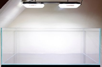 aquarium Aquarium 1 - 200L , de Vivicaro