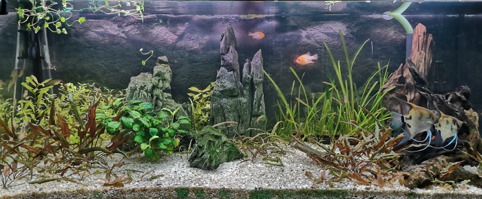 aquarium bac 250l , de Alef