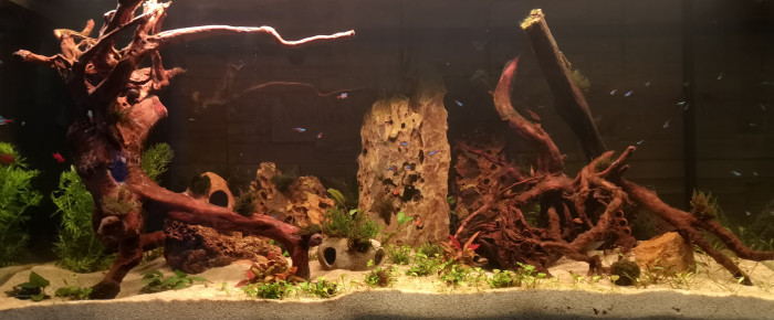 aquarium aquavelva , de Jean68