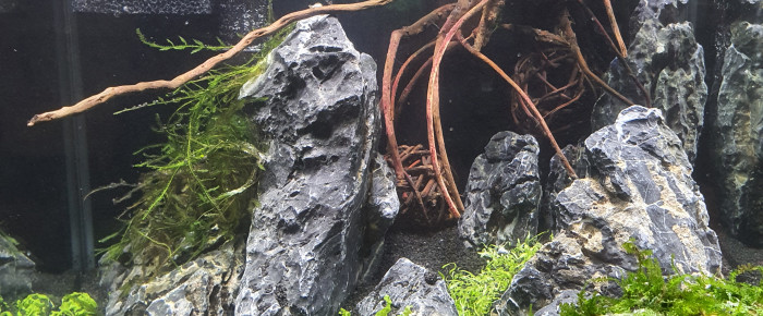aquarium Sodewanai , de NineInjections