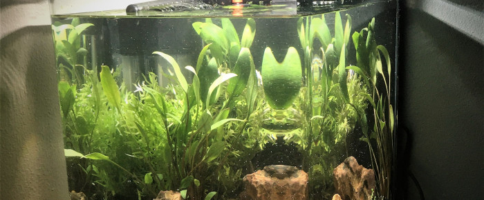 aquarium Nano 20 L N1 , de KGM444