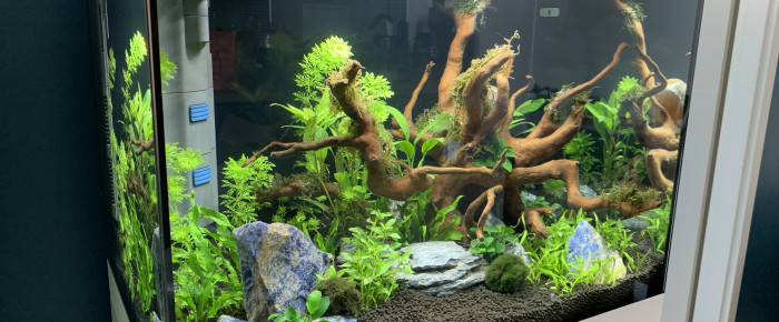 aquarium Oase Salon , de Deityn