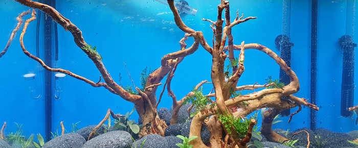 aquarium Lido 120 , de LALOUX