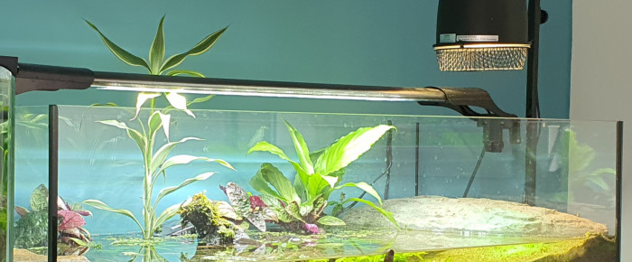 aquarium Tortue 100 litres , de cristina-rocamora-aparicio