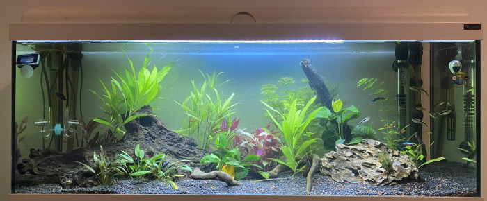 aquarium 100L , de benjamin-prudhomme