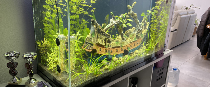 aquarium Decouverte , de Superjo