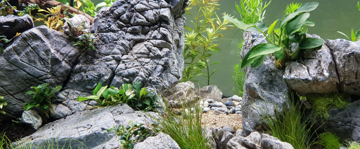 aquarium AQUASCAPING , de Magellan38