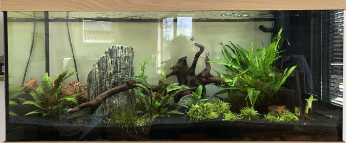 aquarium Jbs aquarium , de Jbb38