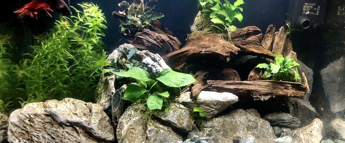 aquarium Nano betta , de Lottomans