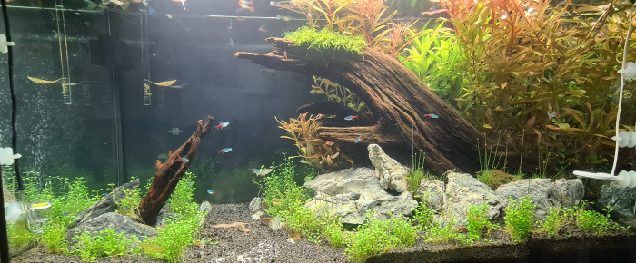 aquarium 200 l , de Pipoca99