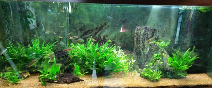aquarium 450litre , de Ryuu